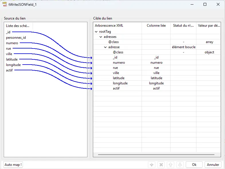 JSON Tree du tWriteJSONField (Adresses)